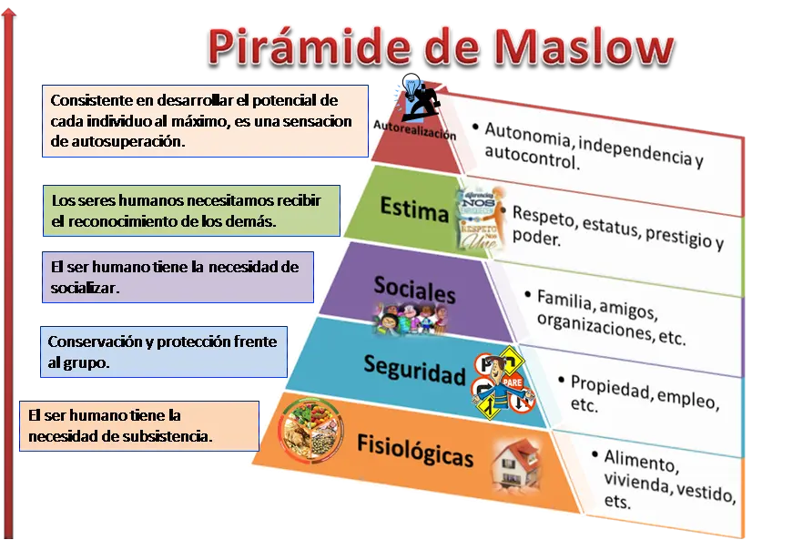 piramide de la inteligencia - Cuál es el tipo de inteligencia más común