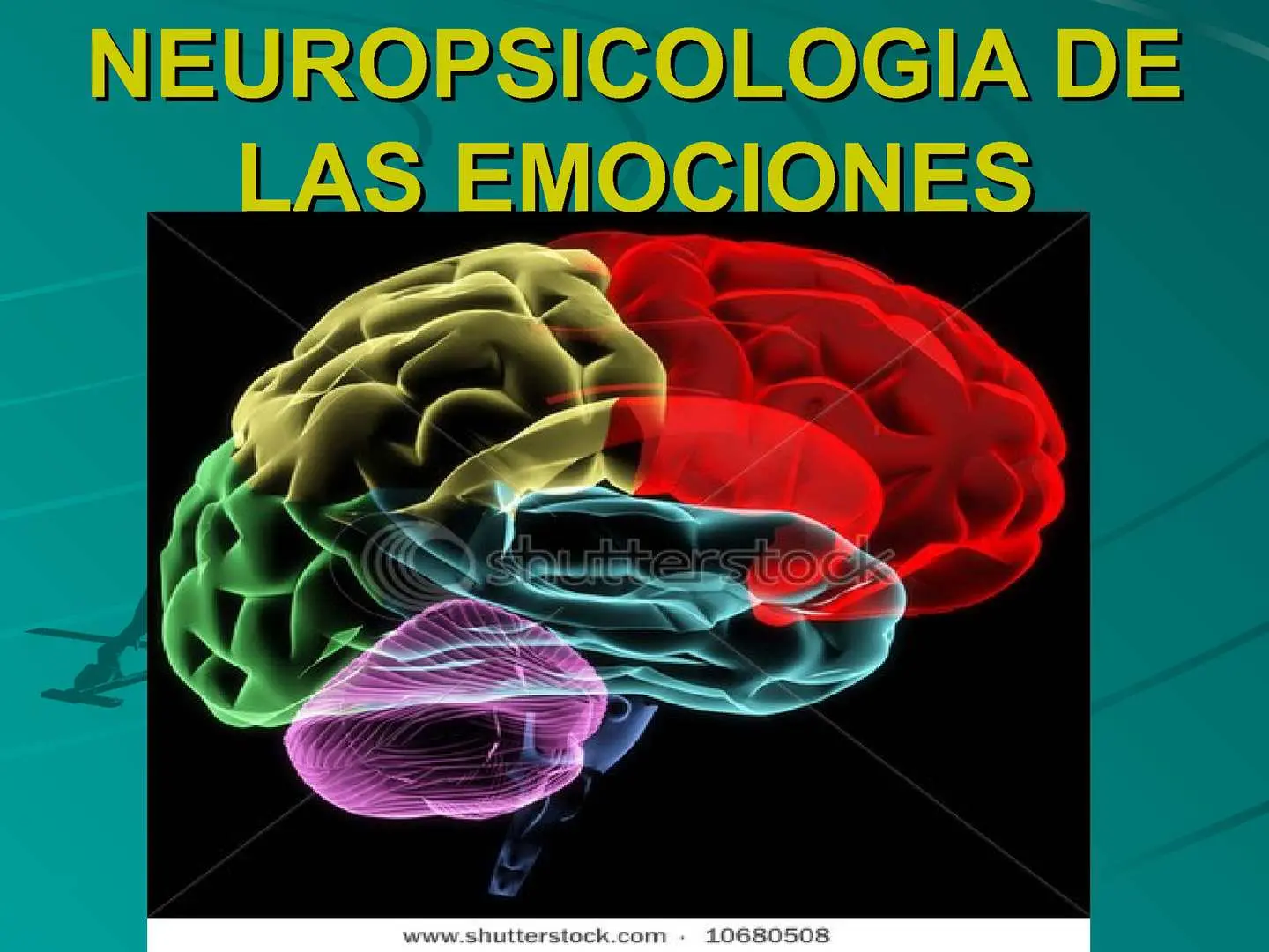 bases neurobiologicas de la inteligencia emocional imagenes - Cuál es la base neurológica de las emociones