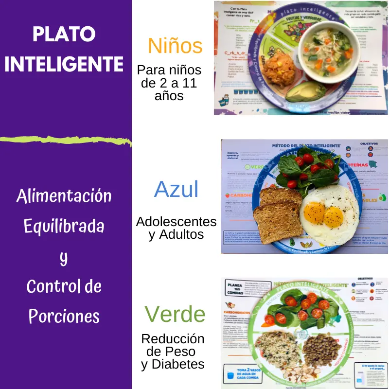 dieta del plato inteligente - Cuál es la dieta del plato