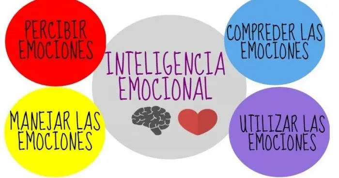 analfabetismo emocional la inteligencia emocional - Cuál es la diferencia entre alfabetización emocional e inteligencia emocional