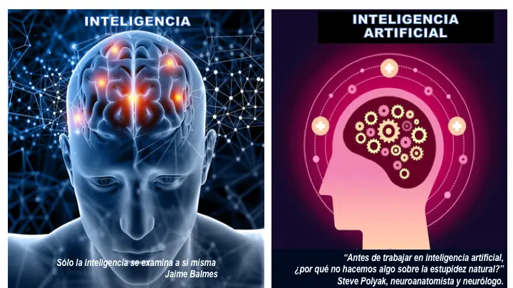 ciencia conocimiento inteligencia y sabiduria - Cuál es la diferencia entre la ciencia y el conocimiento