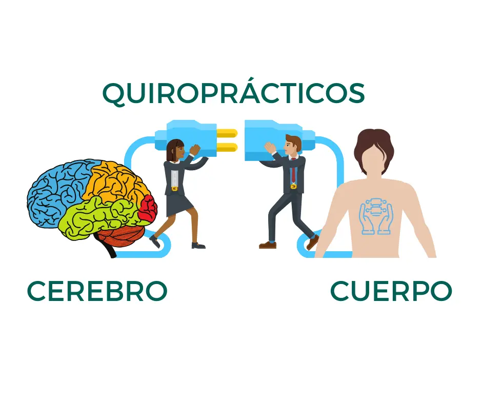 inteligencia universal quiropractica - Cuál es la filosofia de la quiropráctica
