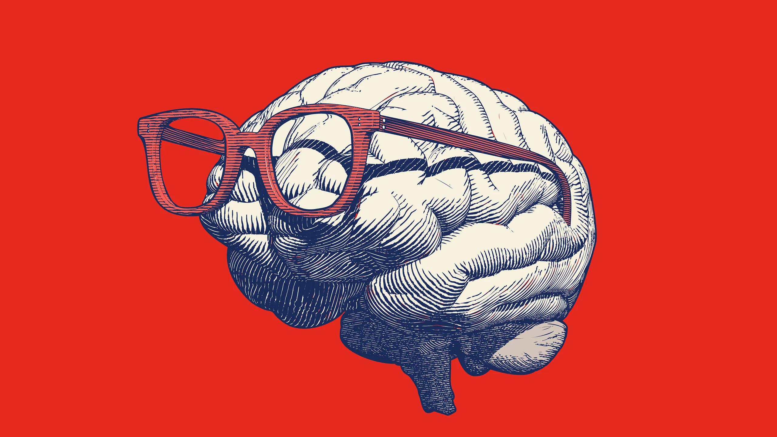 craneos para la inteligencia - Cuál es la función del cráneo en el cuerpo humano