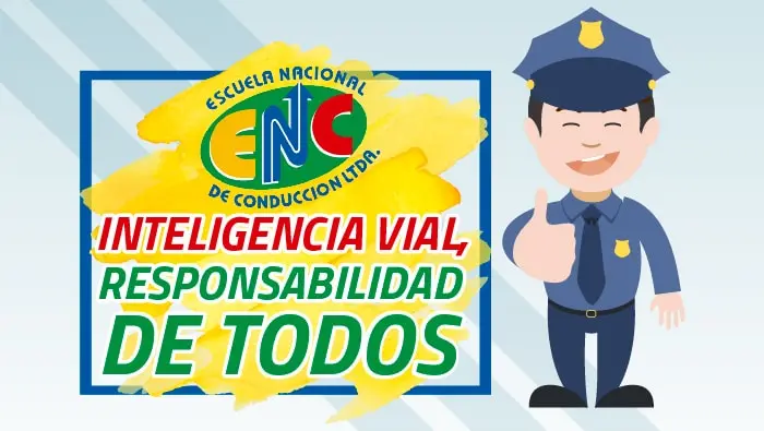 Importancia de la inteligencia vial - Cuál es la importancia de la educación vial importancia de la inteligencia vial - Cuál es la importancia de la educación vial