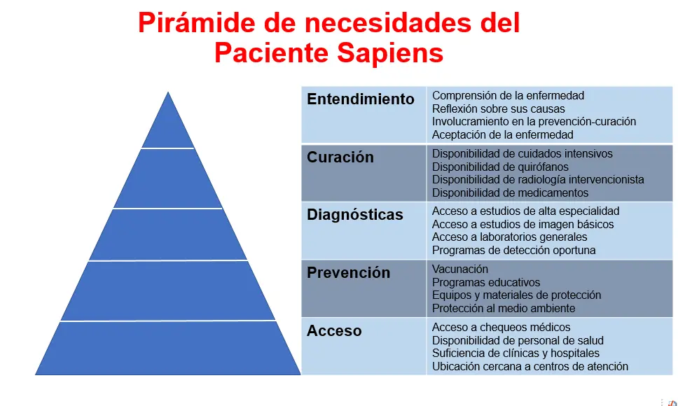 piramide de la inteligencia - Cuál es la jerarquía de la inteligencia