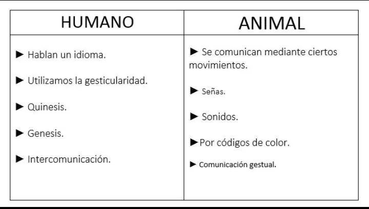 diferencia entre inteligencia humana e inteligencia animal - Cuál es la principal diferencia entre humanos y animales