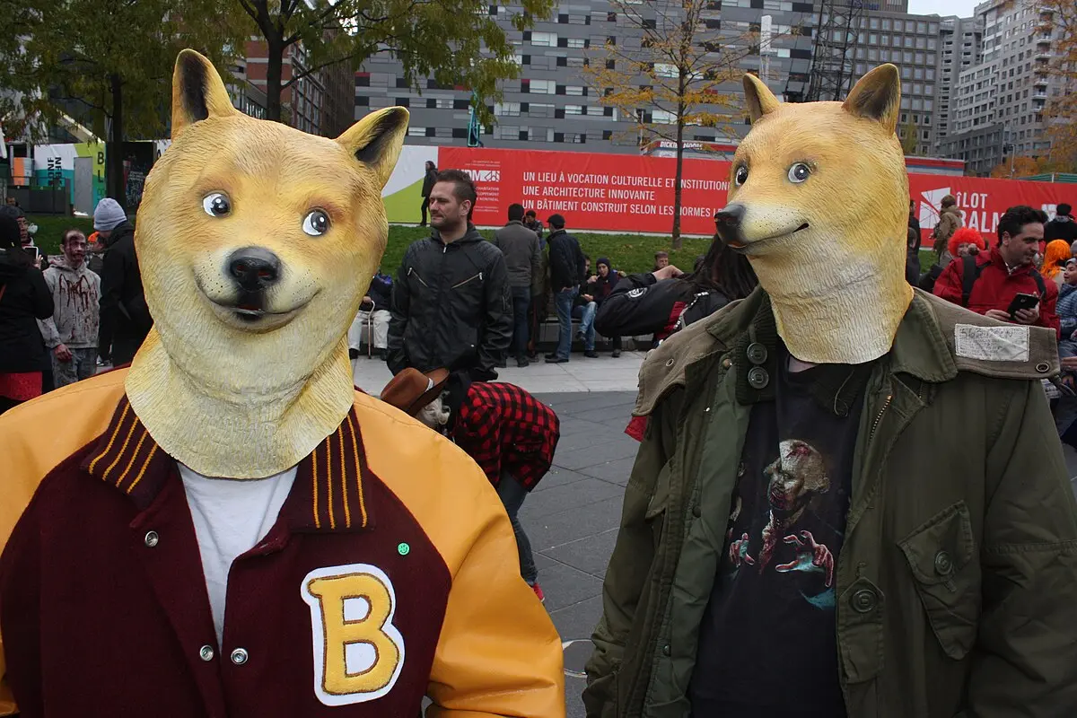 perro inteligente meme - Cuál es la raza del perro Doge