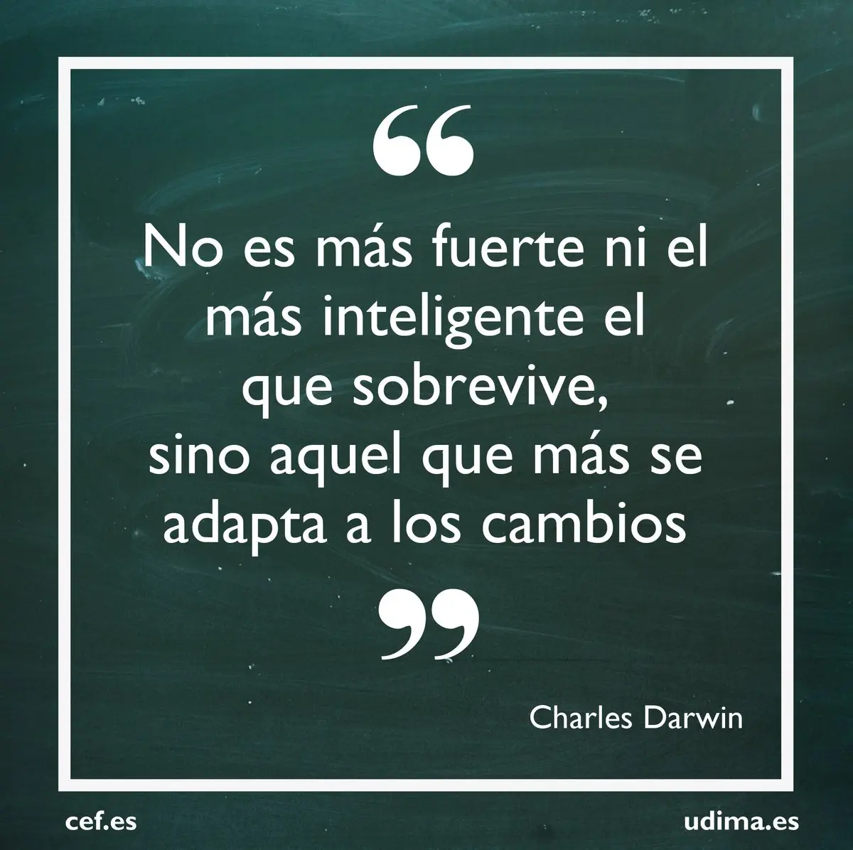 no sobrevive el mas fuerte ni el mas inteligente darwin - Cuál es la teoria de Darwin