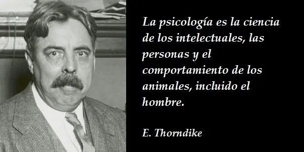 Teoría Edward Thorndike: Inteligencia Emocional y Libro de Citas - Cuál es la teoría de Edward Thorndike teoria edward torniquete inteligencia emocional libro citas - Cuál es la teoría de Edward Thorndike