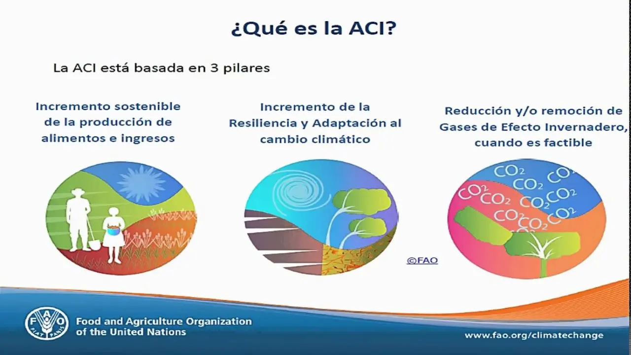 ¿Qué es la agricultura climáticamente inteligente? - Cuál es un ejemplo de agricultura climáticamente inteligente que es la agricultura climaticamente inteligente - Cuál es un ejemplo de agricultura climáticamente inteligente