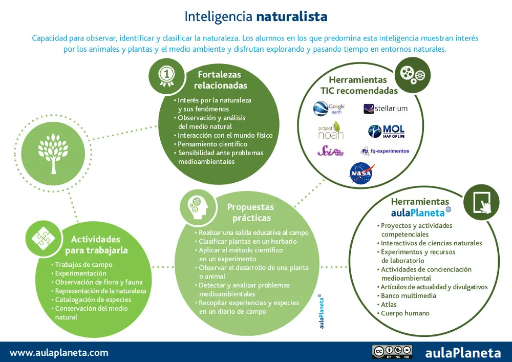 Actividad didáctica que desarrolle la inteligencia de tipo naturalista - Cuál es un ejemplo de un aprendiz naturalista actividad didáctica que desarrolle la inteligencia de tipo naturalista - Cuál es un ejemplo de un aprendiz naturalista