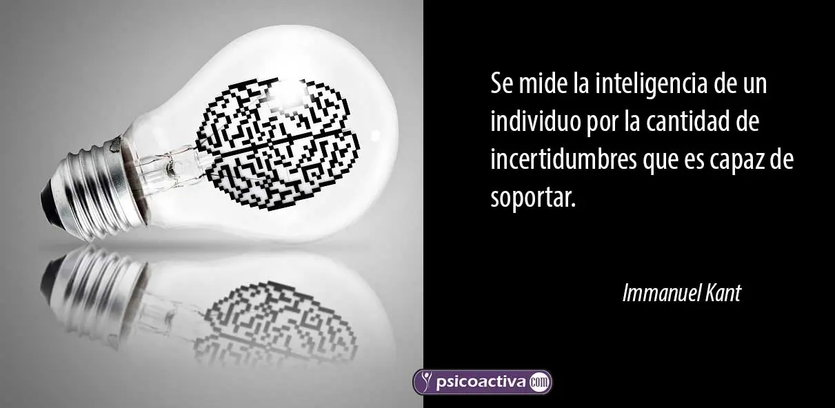 frases de inteligencia ejecutiva - Cuál es una cita famosa sobre ser inteligente