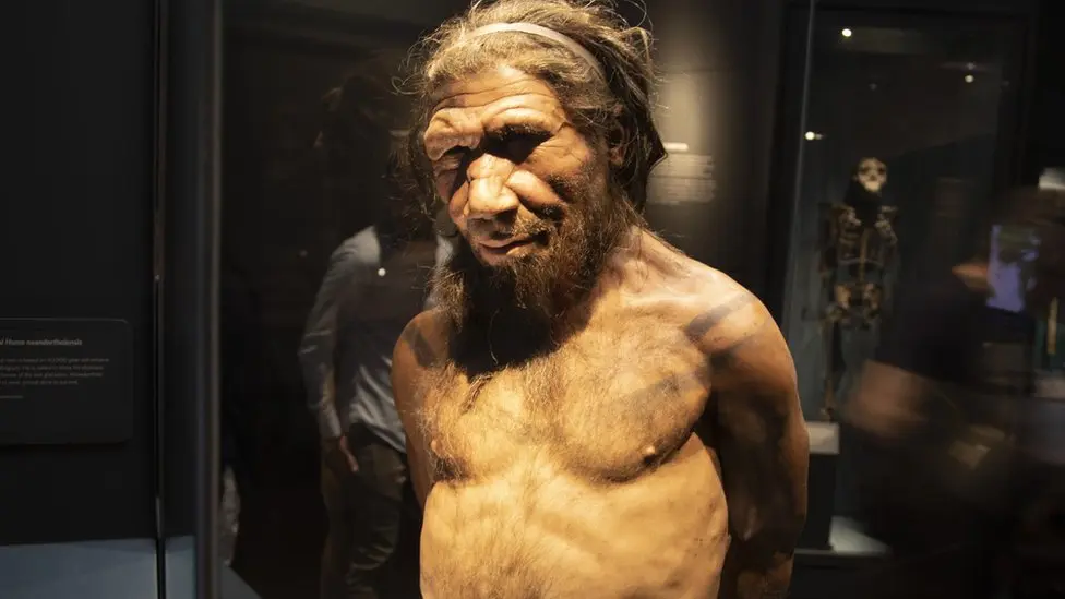 la piedra q les dio la inteligencia a los omozapiens - Cuál fue el primer ser humano en el mundo