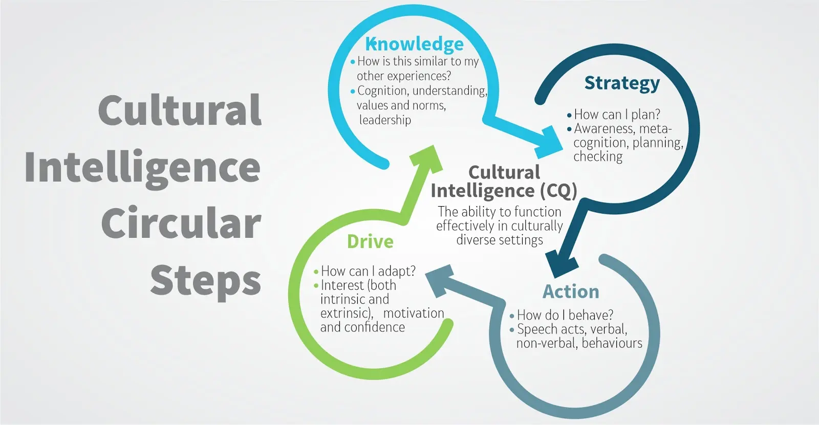 concepto de inteligencia cultural soon ang y linn van dyne - Cuáles son las 4 dimensiones principales de la inteligencia cultural