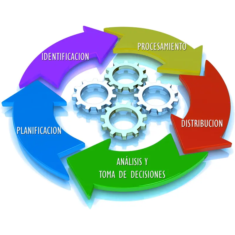 circulo de inteligencia - Cuáles son las 4 etapas del ciclo de inteligencia