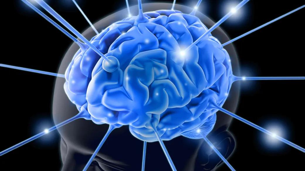 areas de inteligencia do cerebro - Cuáles son las 7 funciones del cerebro humano