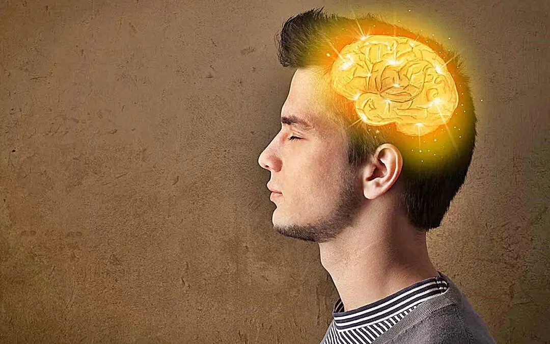 aproximaciones cognitivas a la inteligencia humana - Cuáles son las capacidades cognitivas del ser humano