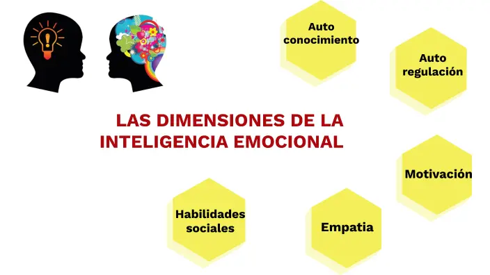 dimensiones de inteligencia emocional - Cuáles son las dimensiones emocionales