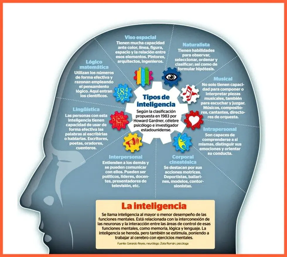 funciones de la inteligencia - Cuáles son las funciones básicas de la inteligencia