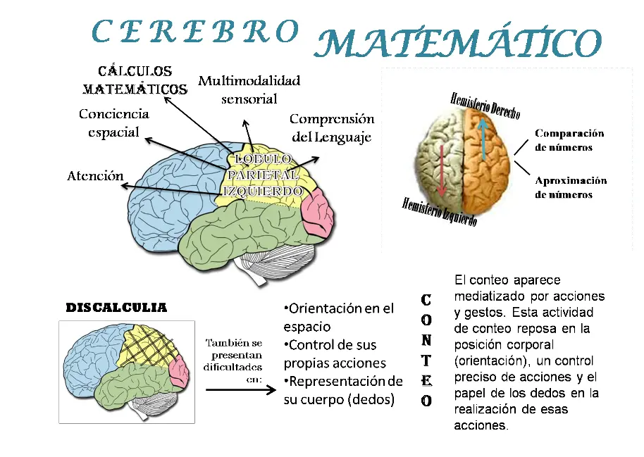 estrategias para potenciar inteligencia logico matematica - Cuáles son los 5 tipos de pensamiento matemático