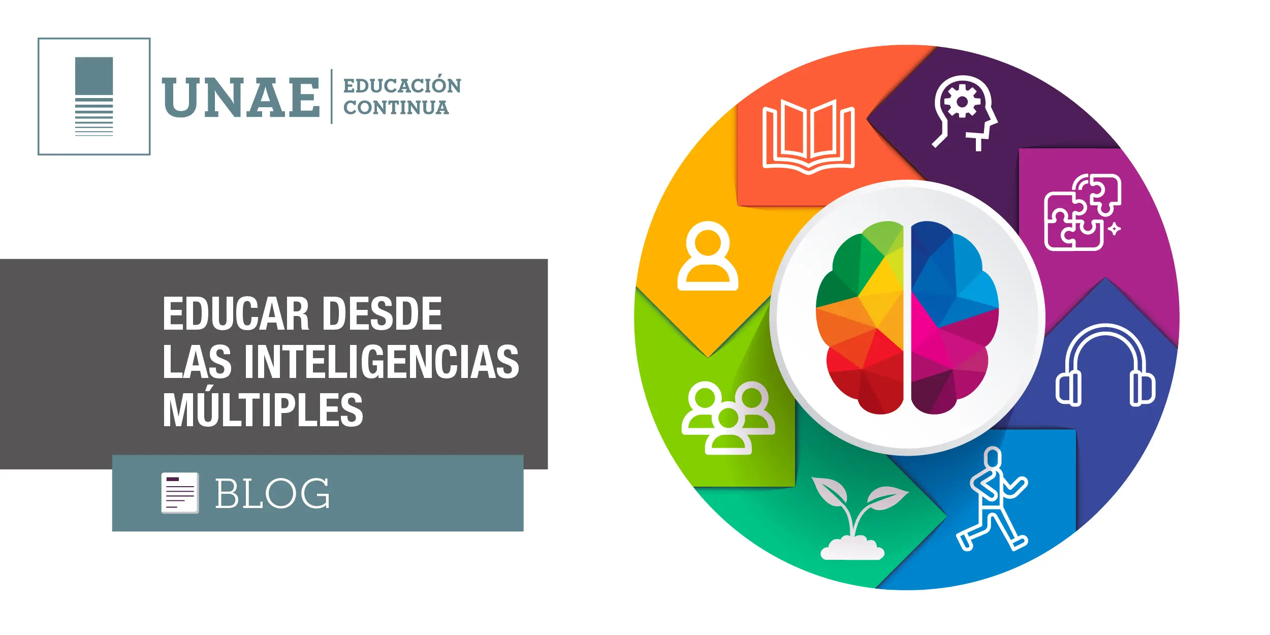 tipos de inteligencia - Cuáles son los 7 tipos de inteligencia