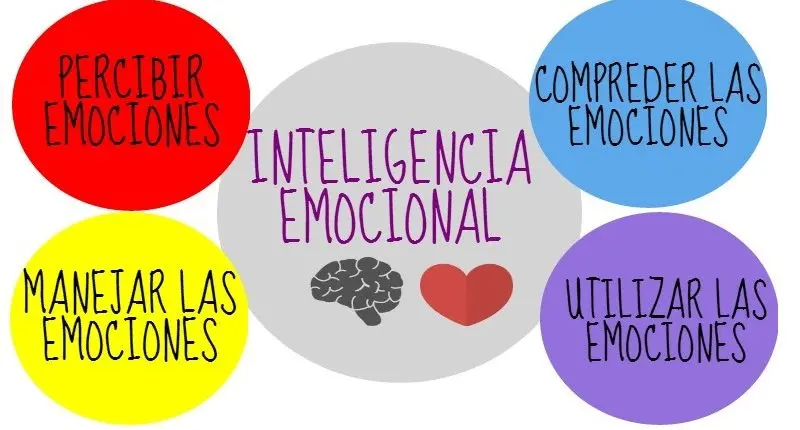 tipos de inteligencia emocional - Cuáles son los 8 tipos de inteligencia emocional