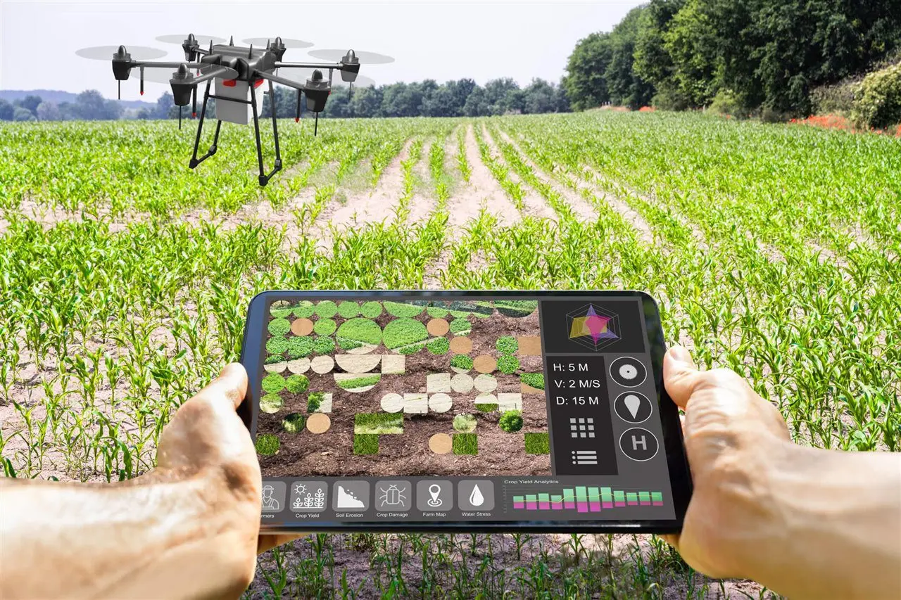 alternativas innovadoras de agricultura inteligente - Cuáles son los avances tecnológicos en la agricultura