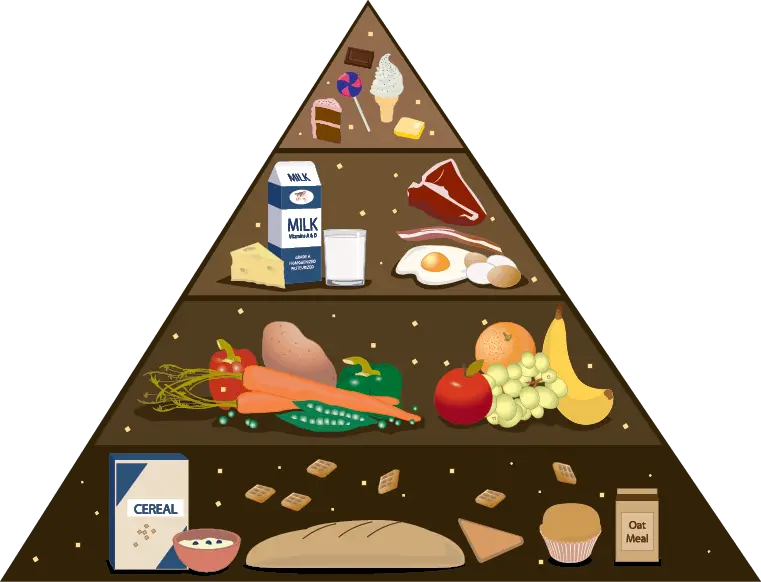 Concepto de Nutrición Inteligente - Cuáles son los conceptos de nutrición concepto nutricion inteligente - Cuáles son los conceptos de nutrición
