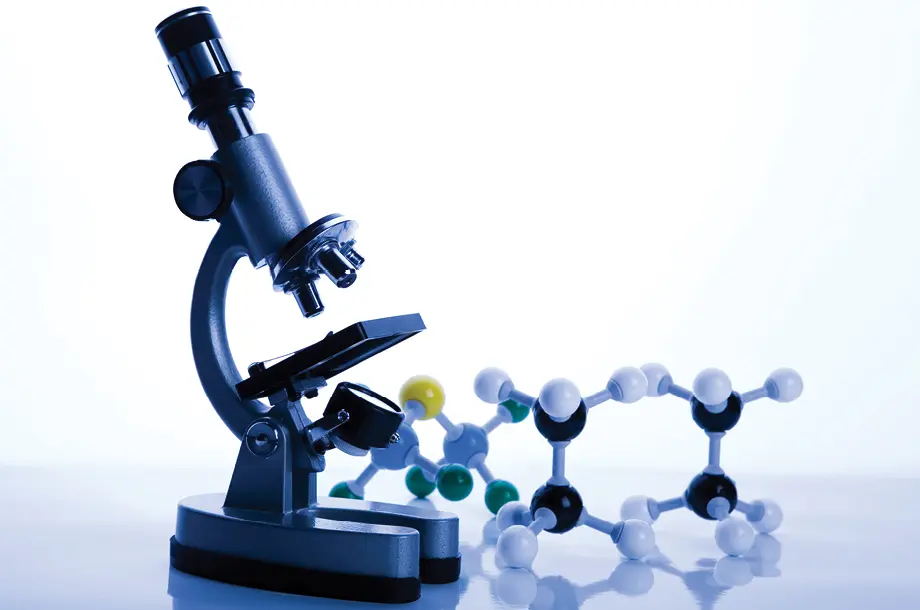 Molécula Inteligente: Una Revolución en la Tecnología - Cuáles son los escalones de la molécula de ADN molecula inteligente - Cuáles son los escalones de la molécula de ADN