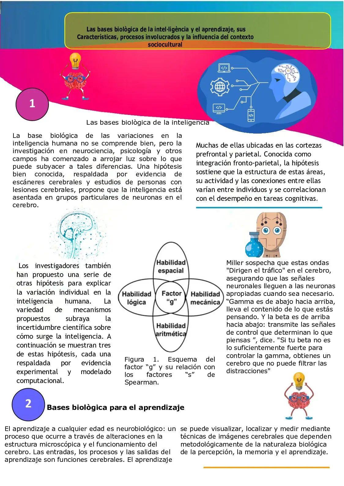 factores biologicos desarrollo de neuronas que determinan la inteligencia - Cuáles son los factores biológicos que influyen en el aprendizaje