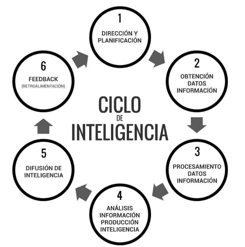 Acciones de la Dirección de Inteligencia Criminal - Cuáles son los principios básicos de las operaciones de inteligencia acciones de la direccion de inteligencia criminal - Cuáles son los principios básicos de las operaciones de inteligencia