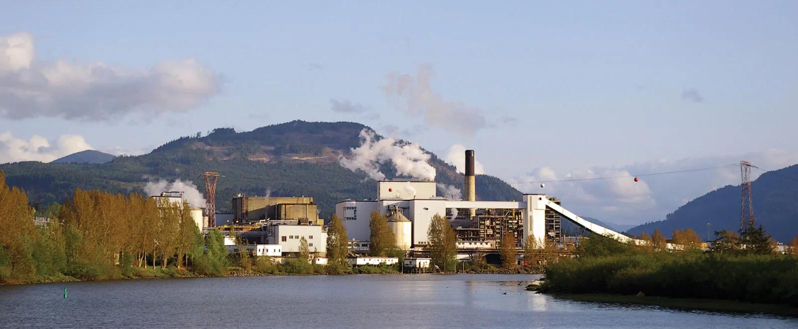 maquinas inteligentes productores de papeles - Cuáles son los tipos de máquinas de papel