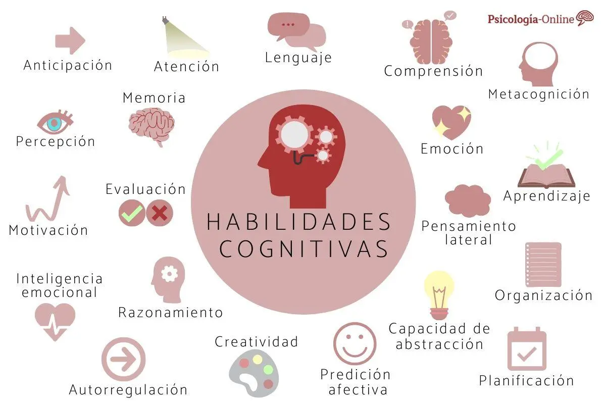 capacidad decisiones inteligencia procesos cognitivos - Cuáles son los tipos de procesos cognitivos