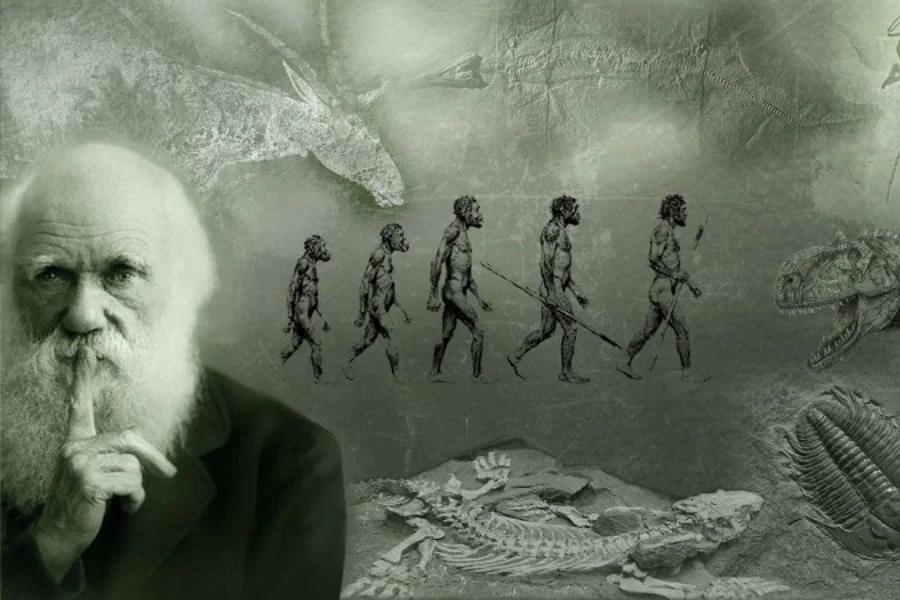 darwin inteligencia emocionañl - Cuáles son los tres principios de Darwin