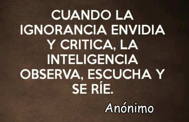 cuando la ignorancia critica la inteligencia observa y ríe - Cuando la ignorancia envidia y crítica la inteligencia observa escucha se ríe