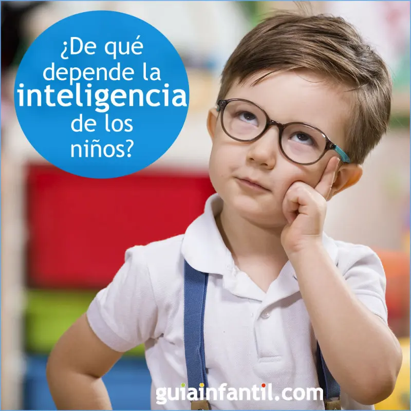 La inteligencia de un niño: su evolución y desarrollo - Cuándo se desarrolla la inteligencia inteligencia de un niño - Cuándo se desarrolla la inteligencia