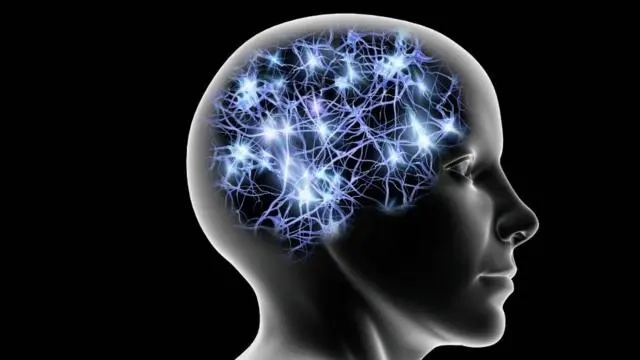 decada del cerebro en la inteligencia - Cuándo se empezó a estudiar el cerebro