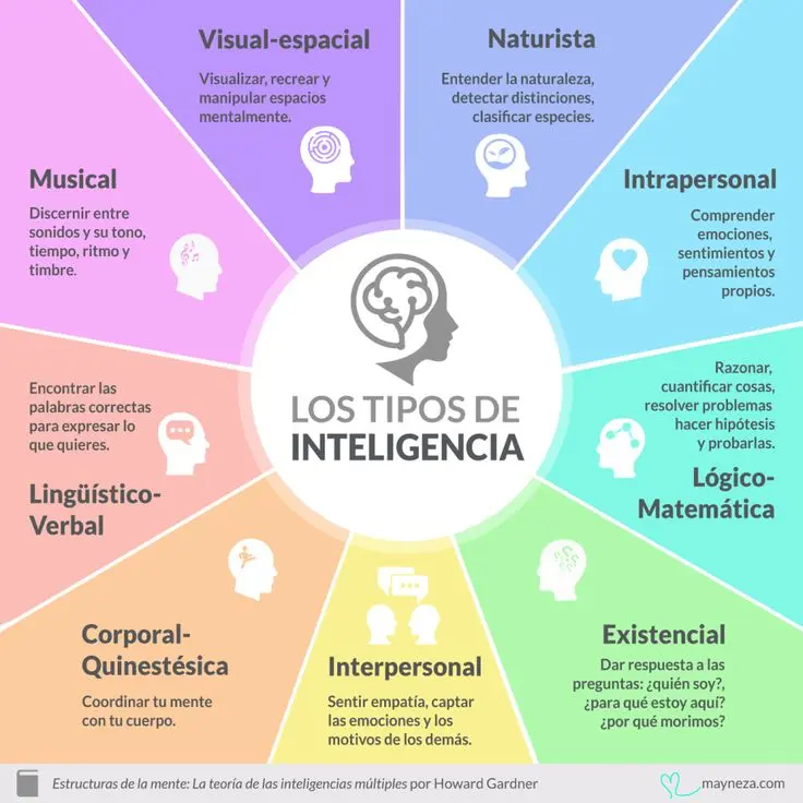 Las 11 inteligencias múltiples de Gardner - Cuántas inteligencias separadas existen Según Gardner 11 inteligencias multiples de gardner - Cuántas inteligencias separadas existen Según Gardner