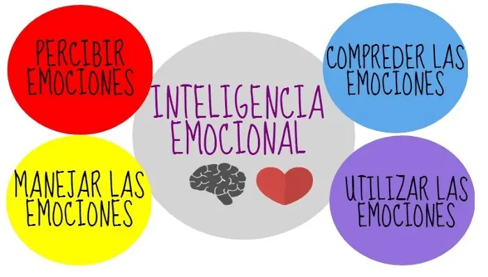 cuantas personas conocen en el mundo que es inteligencia emocional - Cuántas personas en el mundo son emocionalmente inteligentes