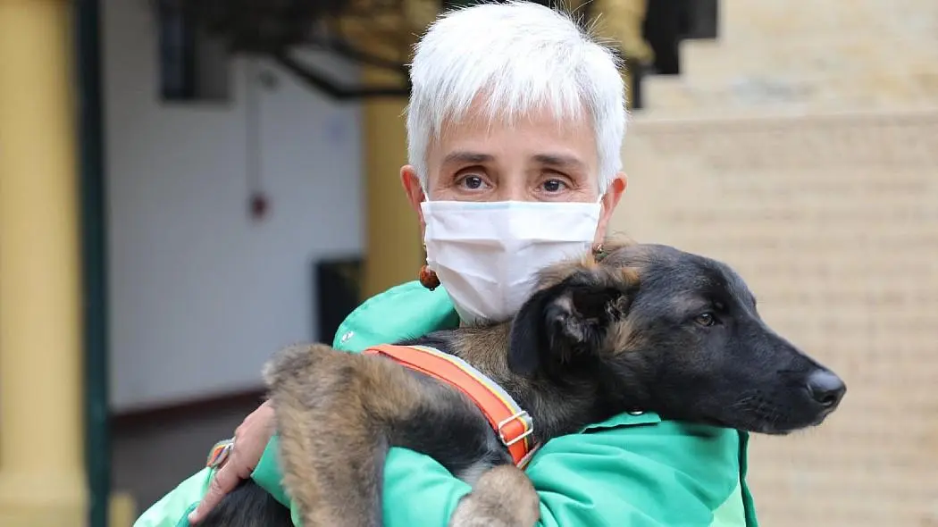animales inteligentes veterinaria bogota - Cuánto cuesta una resonancia magnética para mi perro