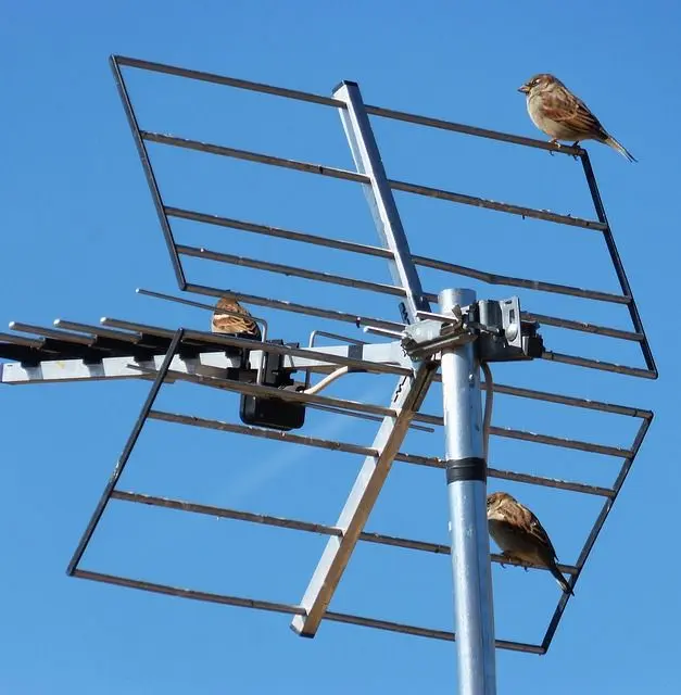 haz de antenas inteligentes - Cuánto es el nivel de potencia de una antena