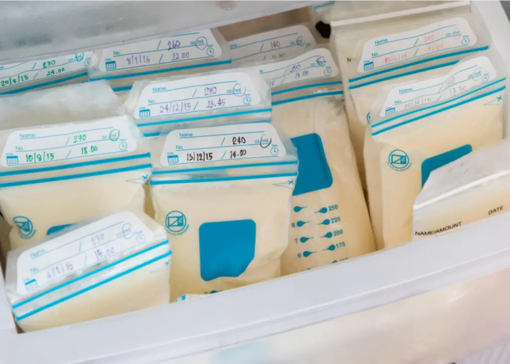 banco de leche inteligente - Cuánto tiempo dura la leche materna en el banco de leche