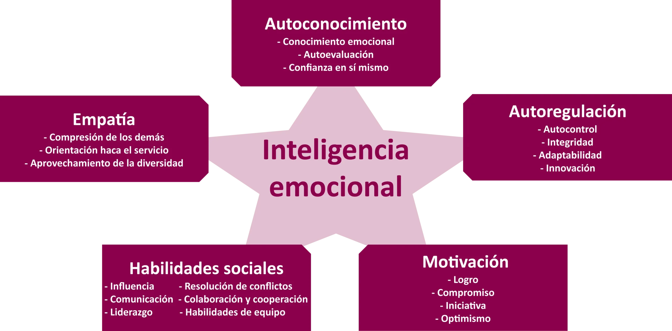 componentes de la inteligencia social - Cuántos componentes hay para la inteligencia social