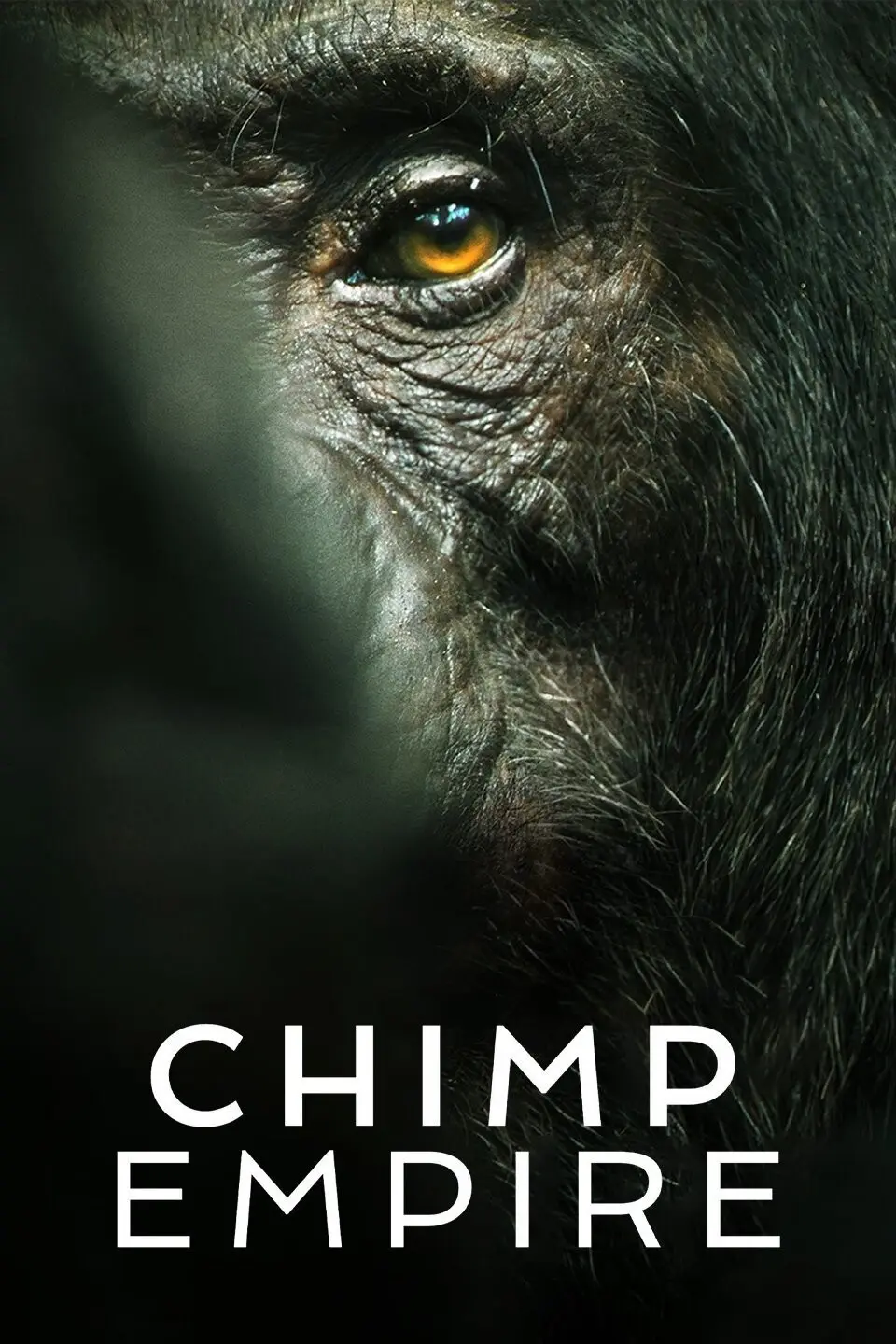 documental de la inteligencia del monos netflix - Cuántos episodios de Chimp Empire hay en Netflix