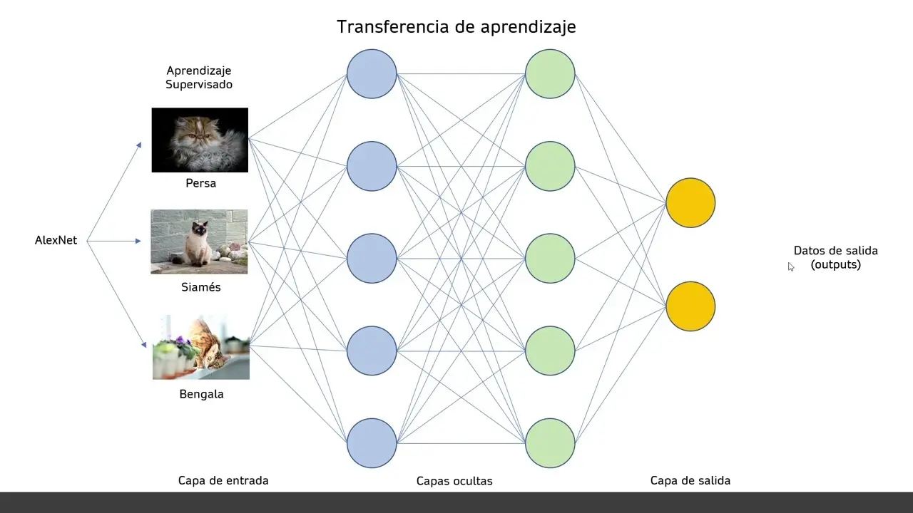 transferencia de aprendizaje inteligencia artificial - Cuántos tipos de aprendizaje por transferencia existen