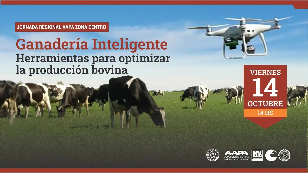 ganaderia inteligente - Cuántos tipos de ganadería hay