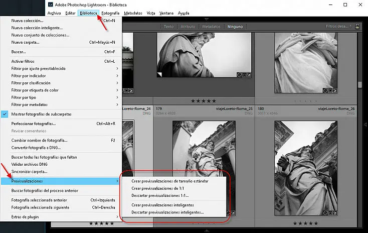 como desactivar previsualizaciones inteligentes en lightroom - Dónde se guardan las previsualizaciones de Lightroom