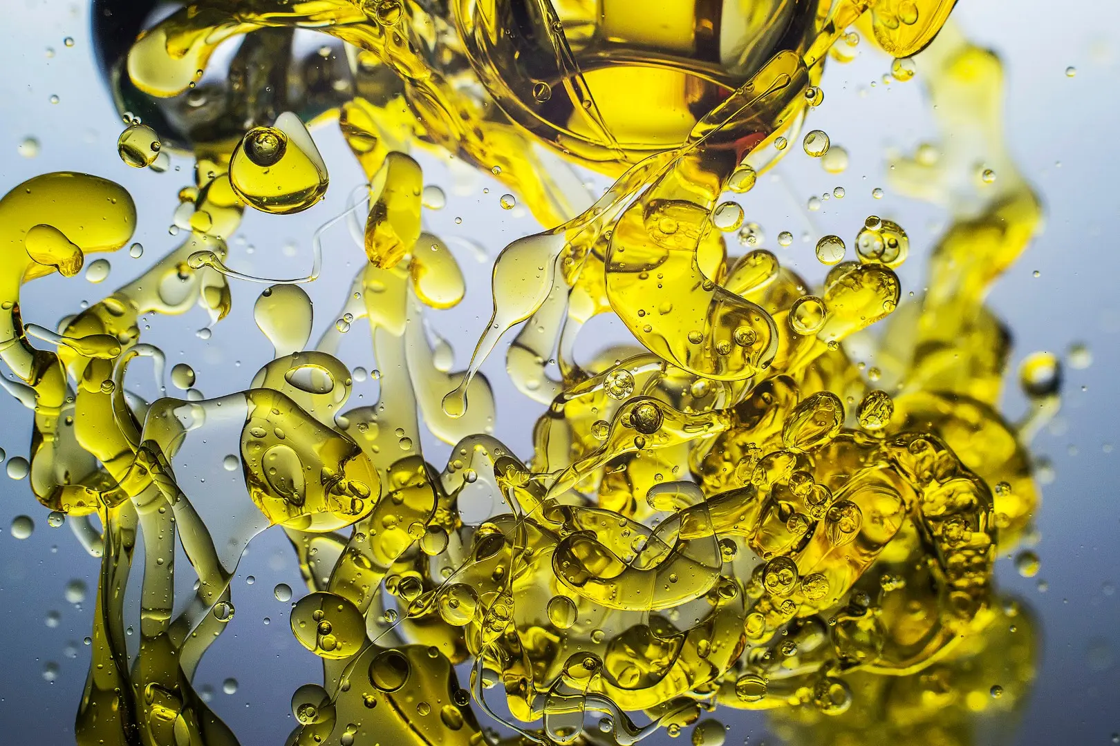 el aceite de oliva hace que tengamos inteligencia - El aceite de oliva ayuda al sistema nervioso
