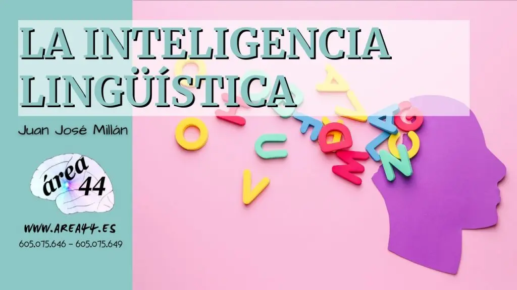Cómo afectan las inteligencias en la lecto escritura - El nivel de lectura se correlaciona con la inteligencia como afectan las inteligencias en la lecto escritura - El nivel de lectura se correlaciona con la inteligencia