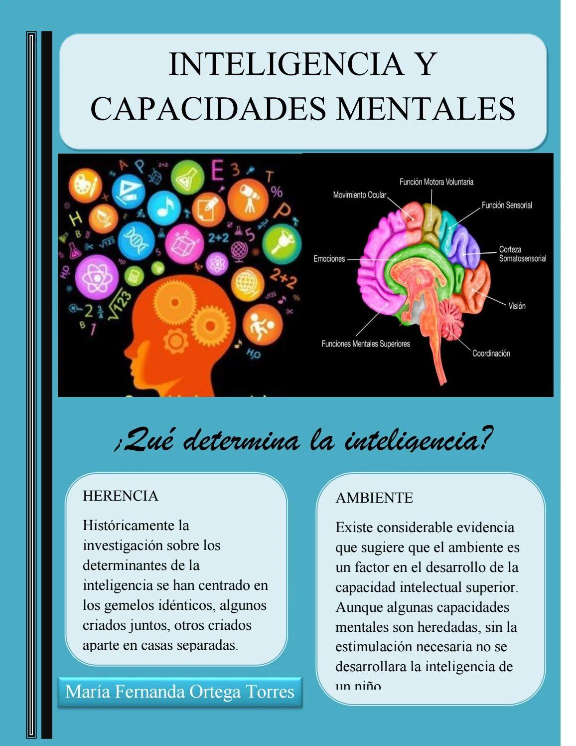 ¿Existe realmente una habilidad mental general que comúnmente llamamos inteligencia? - Es la inteligencia una única habilidad general hay realmente una habilidad mental general que comúnmente llamamos inteligencia - Es la inteligencia una única habilidad general